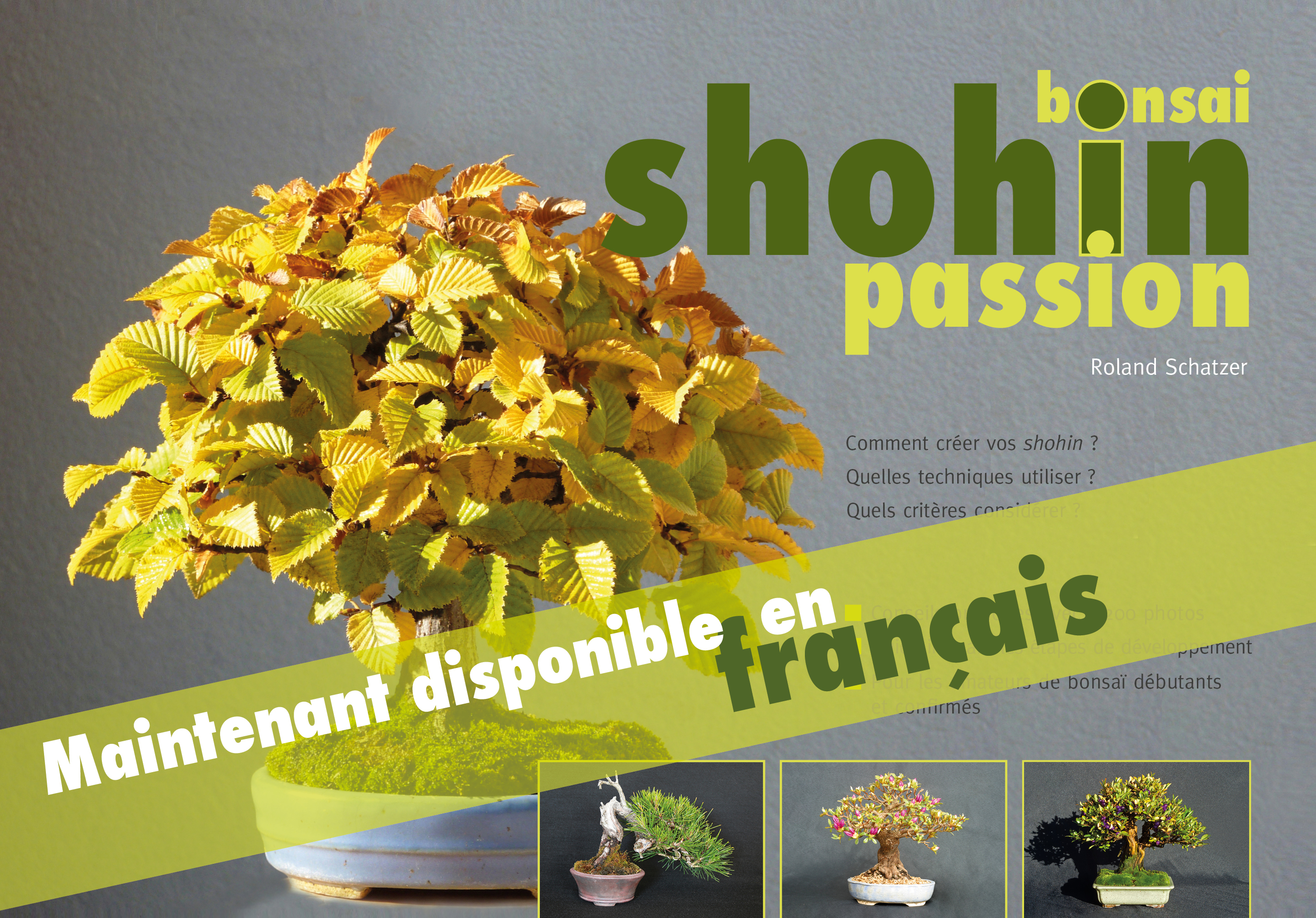 Bonsai Shohin Passion en France 